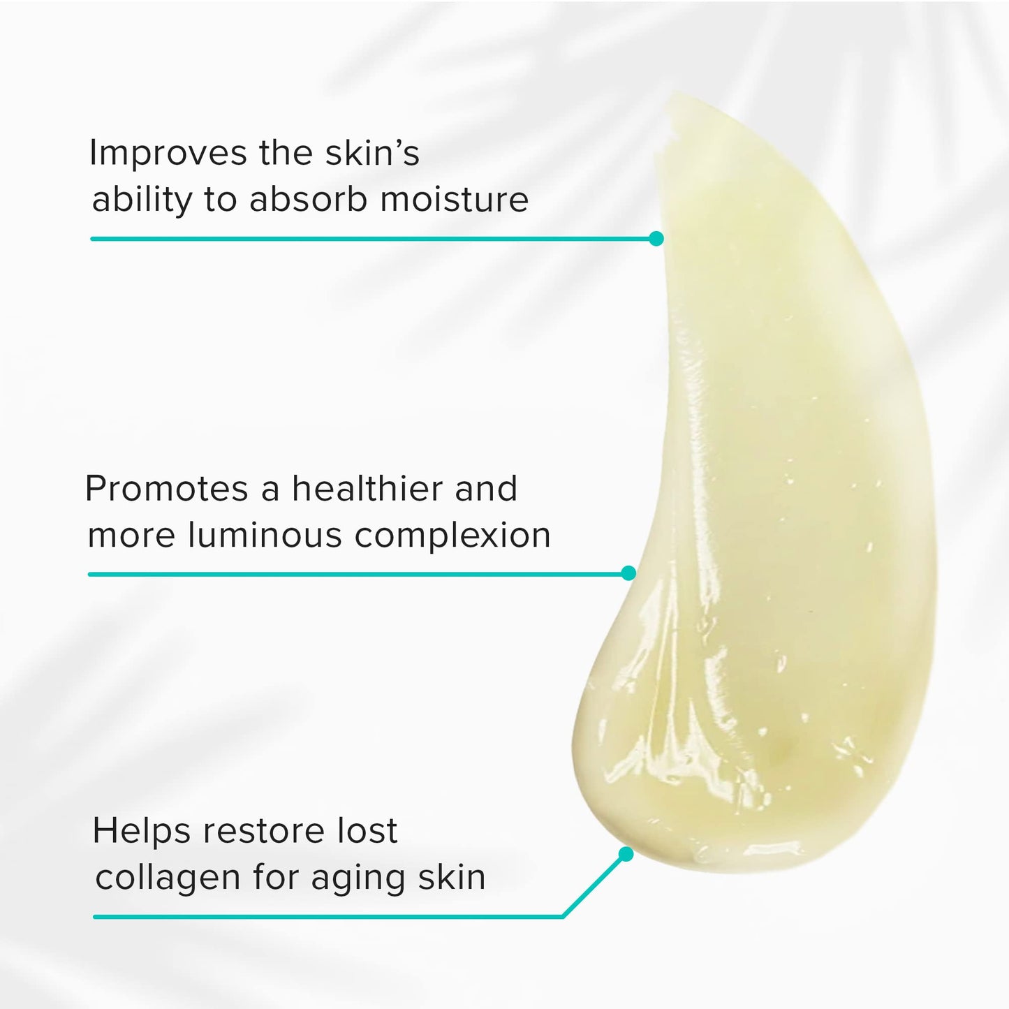 ClarityRx Daily Fruit Antioxidant Moisturizing Mango Face Mask, Plant-Based Creamy Anti-Aging Facial Treatment, Recommended for Mature or Dry Skin (1.7 oz)