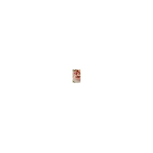 Lanc?me Rose Exfoliating Face Scrub - Exfoliates & Plumps Skin - With Real Sugar Grains, Rose Water & Honey - 3.4 Fl Oz