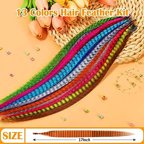 65 Pcs Hair Feather Extensions Kit with Tools - 13 Colors