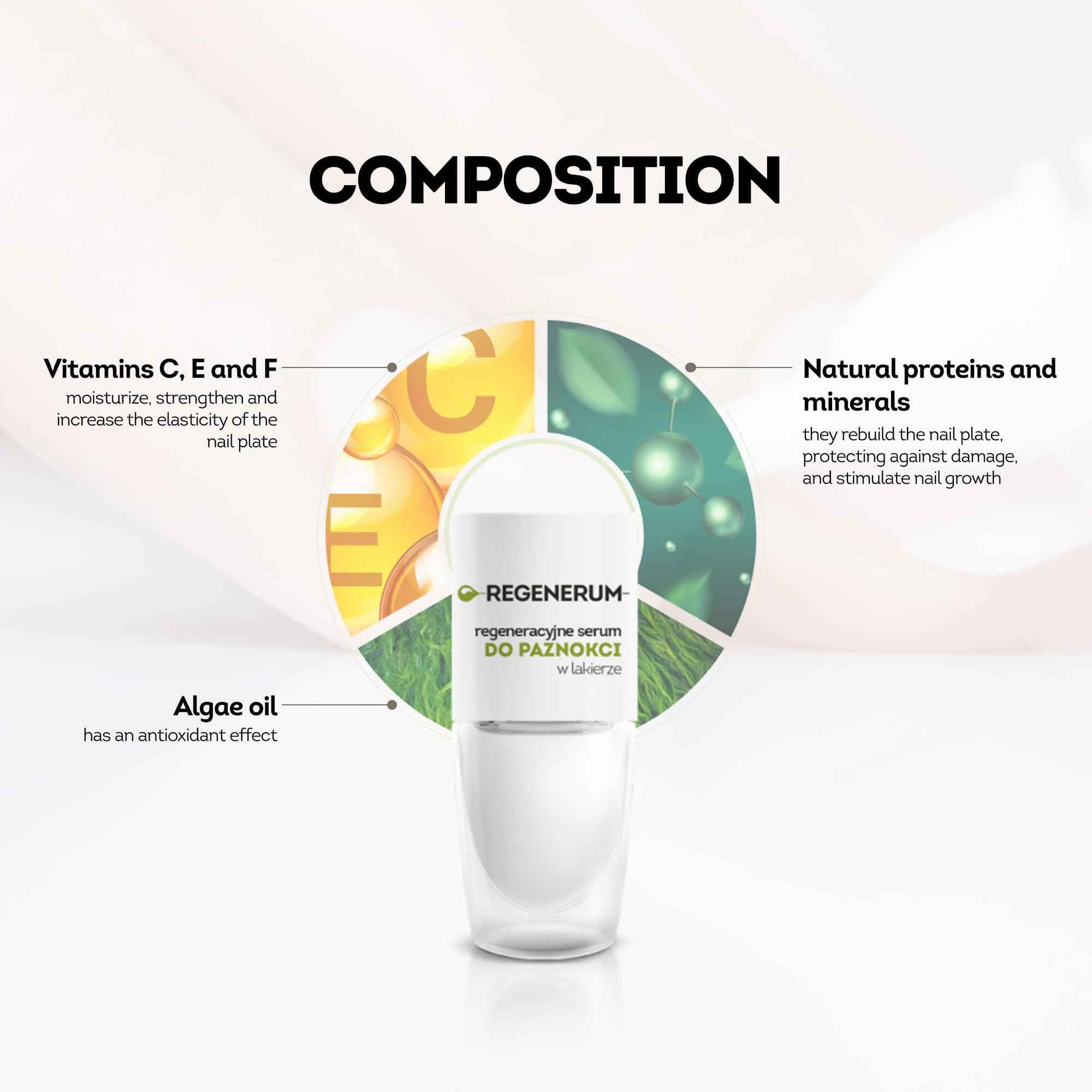 Regenerum - Regenerative Nail Polish Serum - Strengthens and Protects Nail Plate, Vitamin Complex, Minerals, Algae Oil, Stimulates Growth - 8ml