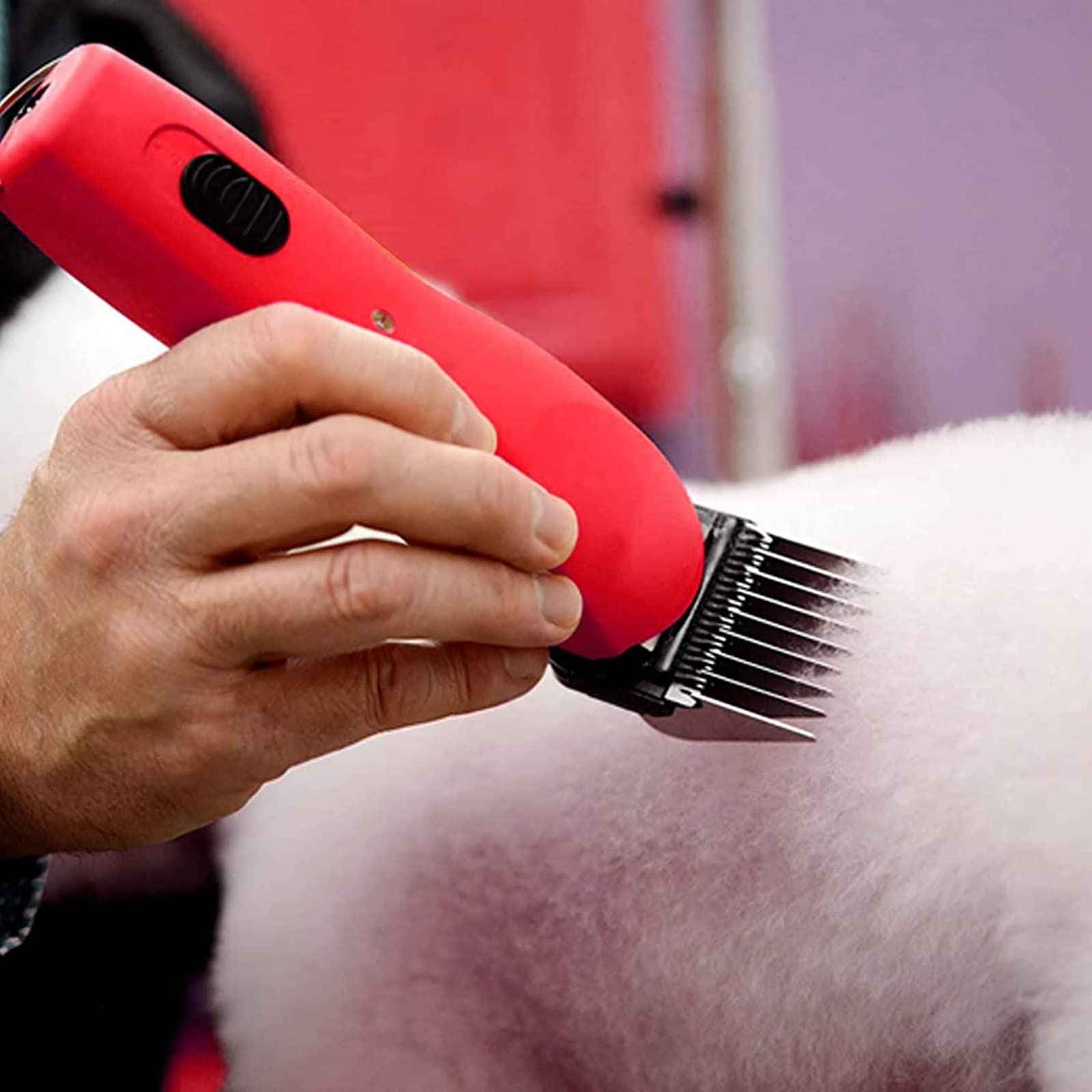 Animal Stainless Steel 5 Color Dog Guide Comb Set,Cutting Length 1/8"-5/8" for 10#/15#/30# A5 Detachable Blade,Compatible with Andis, Oster A5, Wahl KM Series Clipper Guards