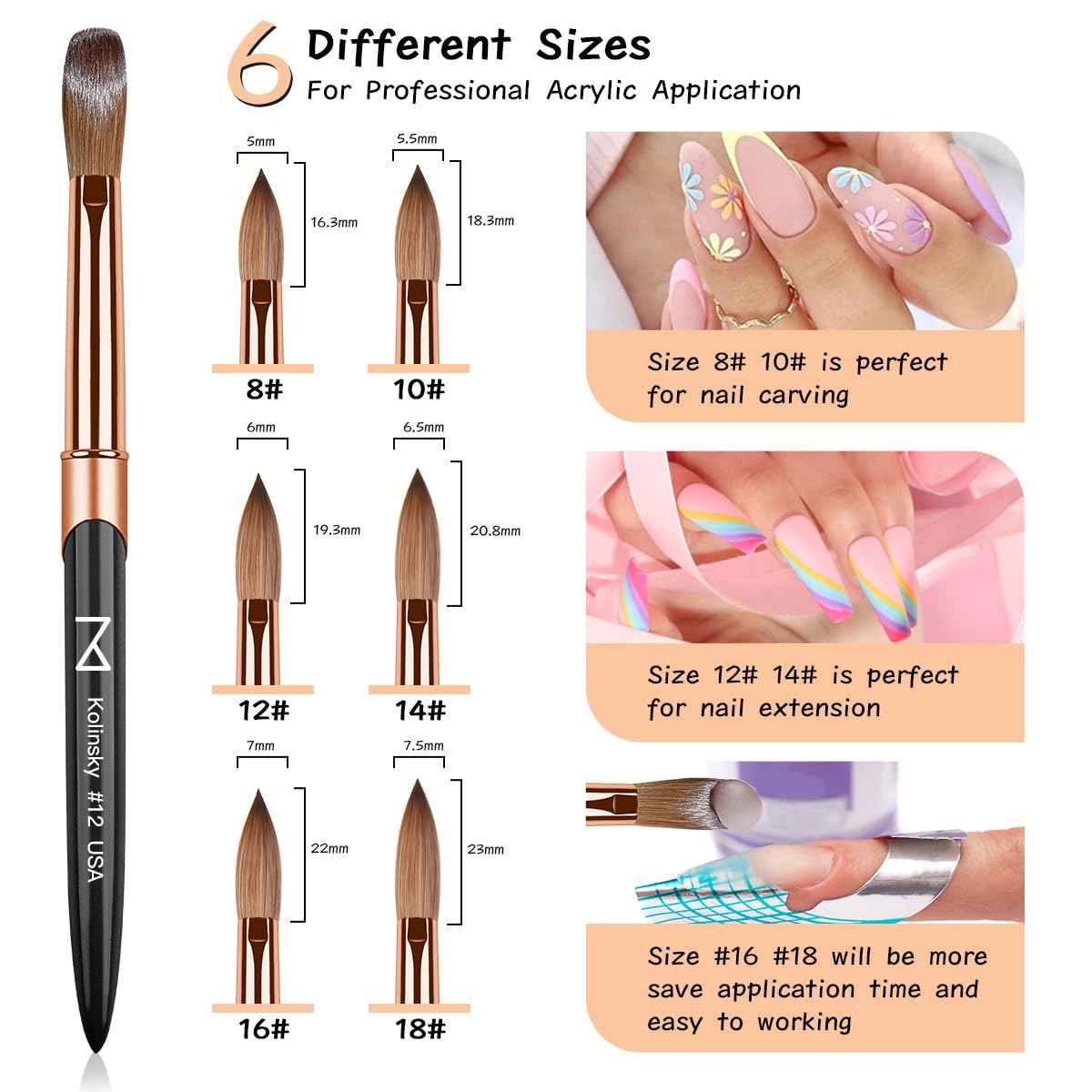 M – Regal 100% Kolinsky Acrylic Nail Brush | Professional Acrylic Nail Sculpting & Application Brush | Premium Nail Art Tool for Nail Technicians & Artists (#12)