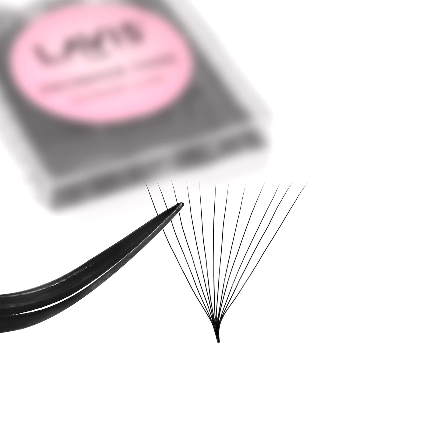 LAVISLASH 500 Promade Fans Eyelash Extension | Handmade Loose Volume Lash | Mutiple Options 3D-8D/10D/12D/14D/16D Fans | 0.03/0.05/0.07mm Thickness | C/CC/D Curl | 8-16mm Length(12D-0.03-D-16mm)