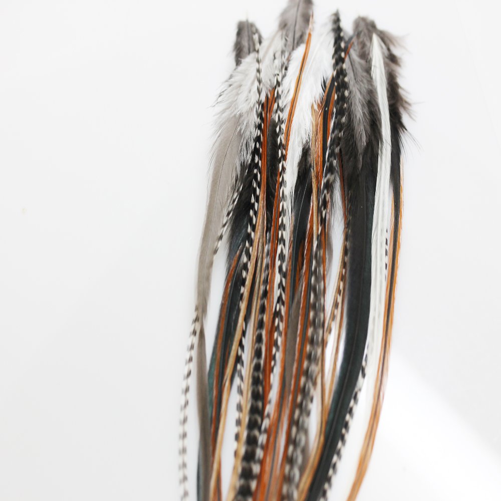 Feather Hair Extension – Natural Beige and Brown Feathers, All Individual Loose Feathers, Ranging From 8 to 12 Inches in Length, With a Total of 25 Feathers, Includes 10 Silicone Micro Beads