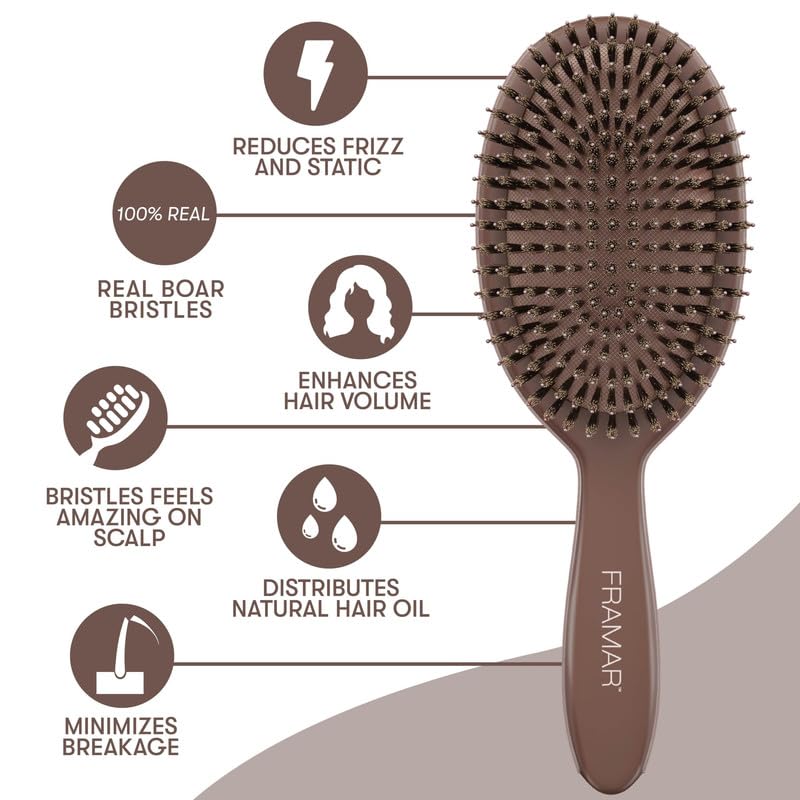 FRAMAR Soft Boar Bristle Hair Brush for Fine Hair - Chocolate
