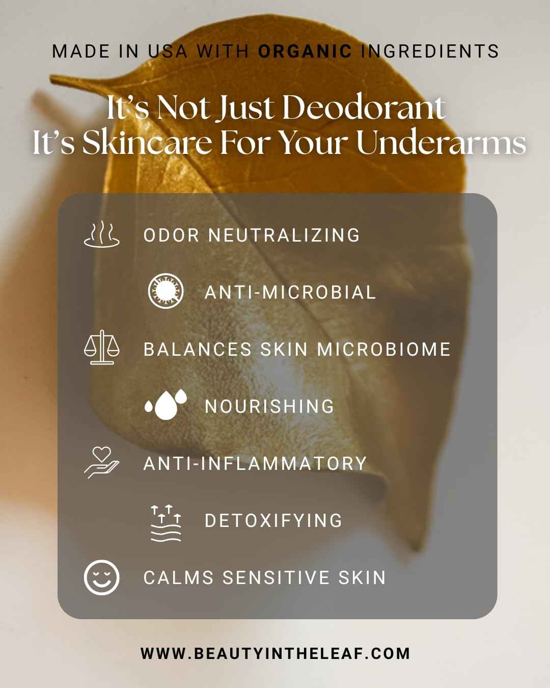 The Indigo Stick Natural Deodorant | Made in USA with Organic Ingredients | Aluminum-Free | 100% Vegan | Sandalwood Citrus Scent | Detoxifying Charcoal & Probiotic Odor Control Formula | 20% MORE