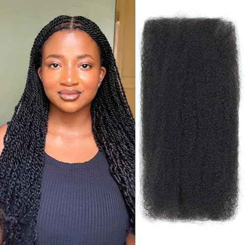 Afro Kinkys Bulk Human Hair, 20 inch 50 Gram 4c Curly Hair for Permanent Sister Locs/Mini Twists/Braids Can Dye and Bleach (Natural Black, 20 Inch)