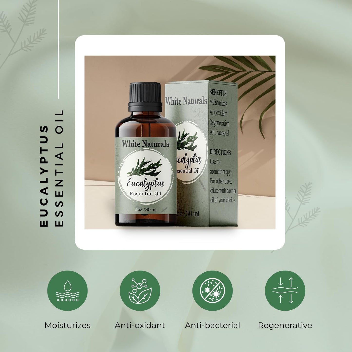 Organic Eucalyptus Essential Oil - 100% Pure & Natural -Premium Therapeutic Grade - Undiluted Homeopathic Aromatherapy Scented, Great for DIY Soap Making, Massage