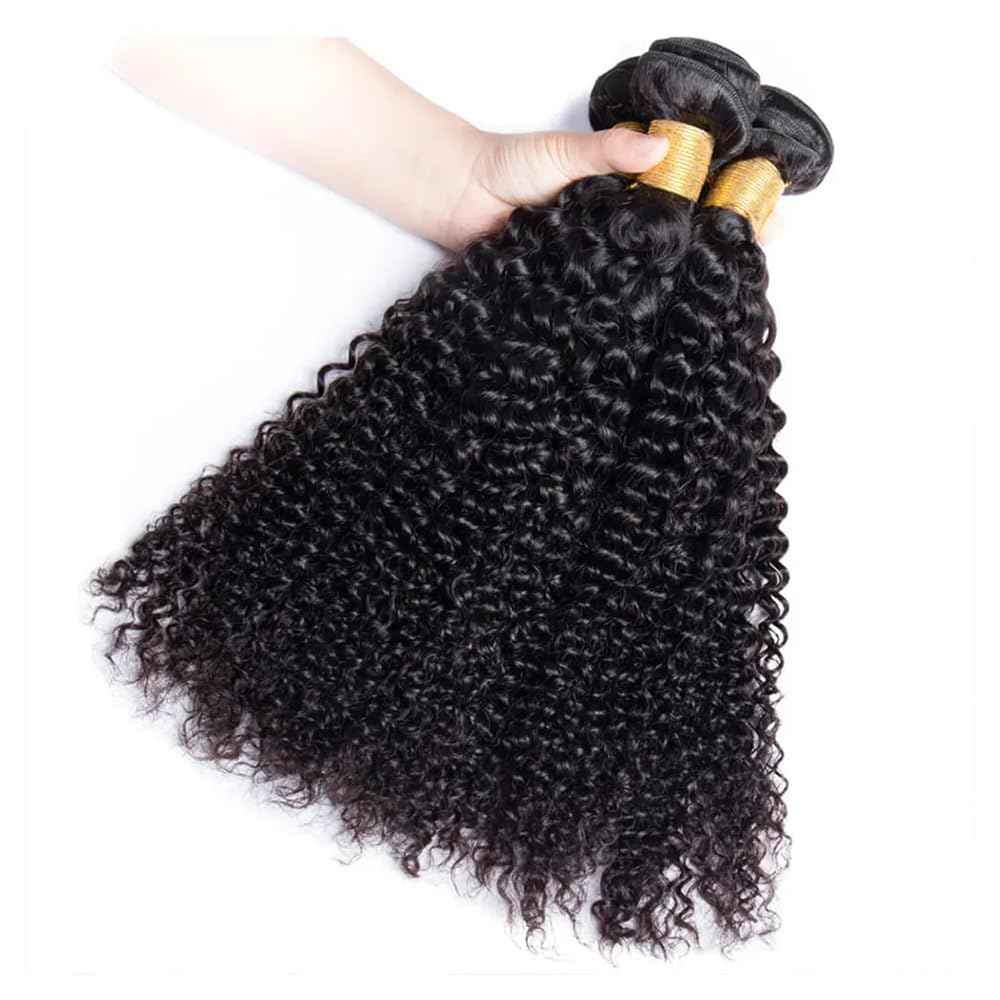 Afro Kinky Curly Human Hair Bundles Natural Black Raw Curly Bundles Human Hair 18 18 18 Inch Healthy And Soft Unprocessed Remy Hair Extensions Daily Wear Double Weft