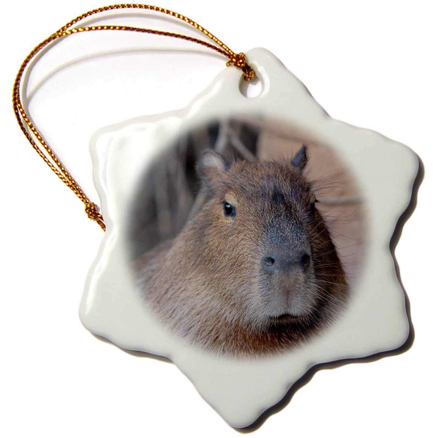 3dRose Snowflake Ornament - Brazil, Mato Grosso, The Pantanal, Capybara - 3-inches (ORN_258361_1)