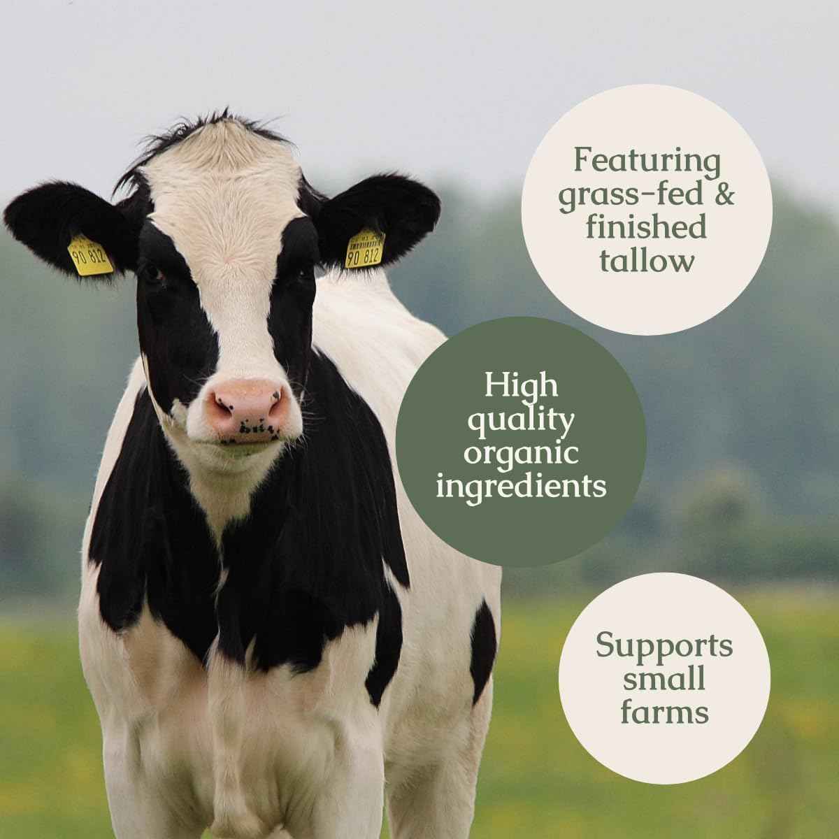 Nectar Natural Retinol Serum by Hearth & Homestead – Fermented Cod Liver Oil, Grass-Fed Tallow & Emu Oil – Nutrient-Rich Facial Oil for Smooth, Healthy Skin – 1 fl oz