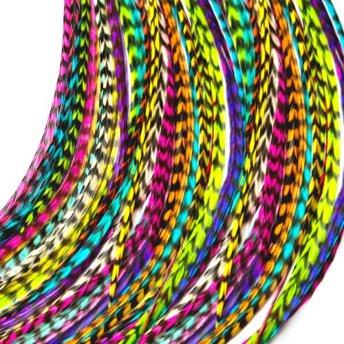 Rainbow Rooster Feather Hair Extensions Kit - 20 Feathers