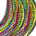 Rainbow Rooster Feather Hair Extensions Kit - 20 Feathers