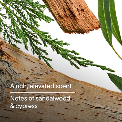 Harry's Bar Soap for Men - Wildlands Scent - (2 Pack) 4 oz - Men's Body Soap - Made with Plant-Based Cleansers - No Parabens, Sulfates, or Dyes