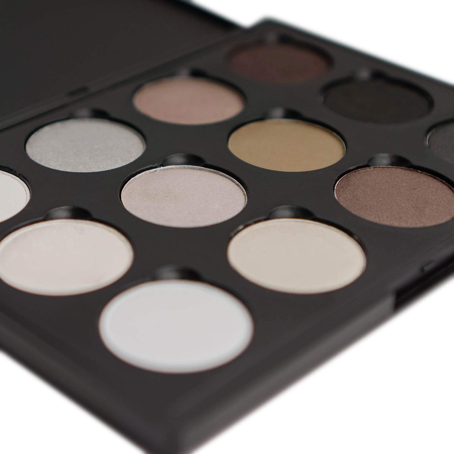 SHANY 12 Color Smoky Eye shadow Palette