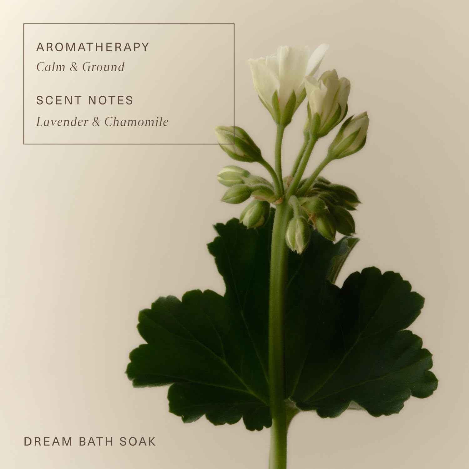 Oak Essentials Dream Bath Soak | Magnesium & European Sea Salt with Lavender, Chamomile & Geranium | Soothing, Restorative Bath Salts, 10 Oz