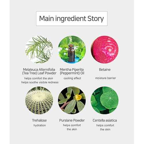 Modeling Mask with Tea Tree ? NEEDS NATURE Korean Rubber Mask for Face ? Cooling & Skin Balancing Spa Pack | 1000g Set with tool