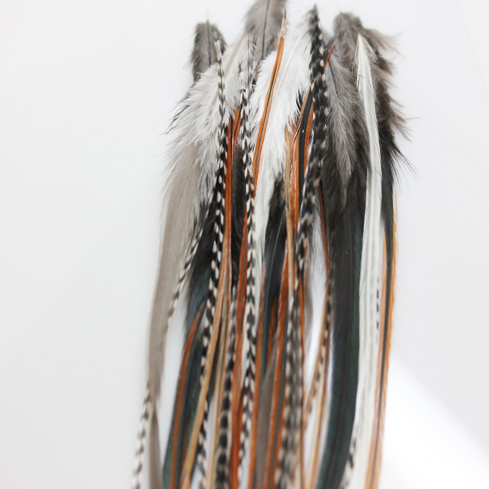 Feather Hair Extension – Natural Beige and Brown Feathers, All Individual Loose Feathers, Ranging From 8 to 12 Inches in Length, With a Total of 25 Feathers, Includes 10 Silicone Micro Beads