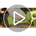 21V Cordless Hedge Trimmer & Grass Trimmer 2-in-1