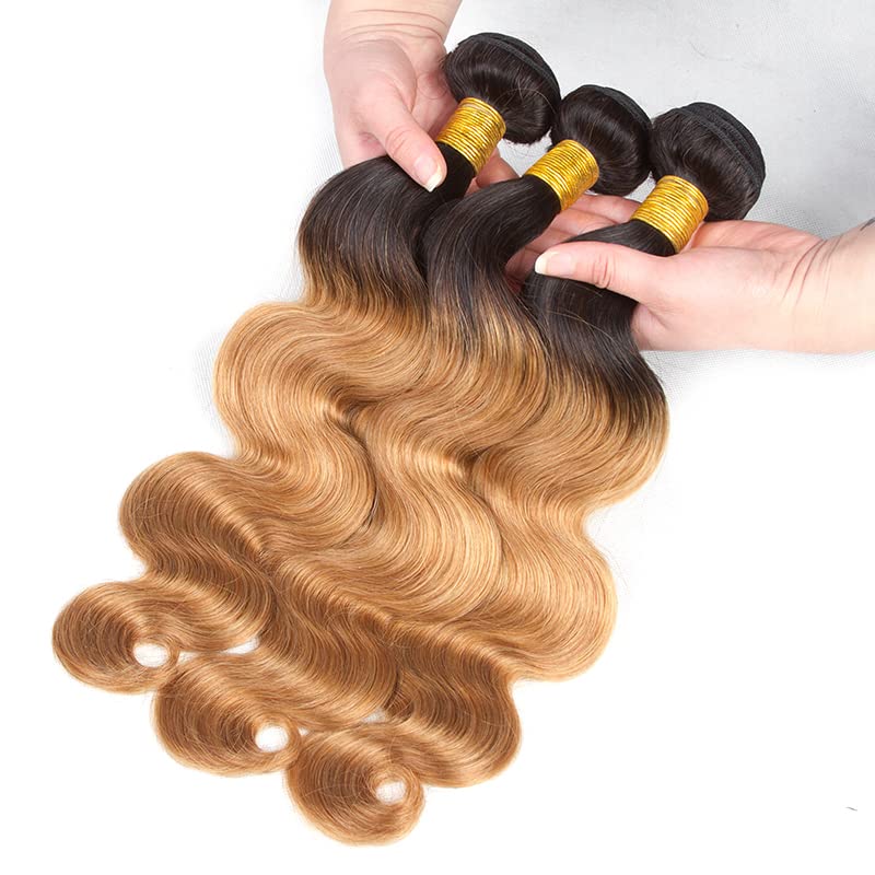 Ombre Blonde Body Wave Human Hair Bundles - 1B27, 20-24 Inch