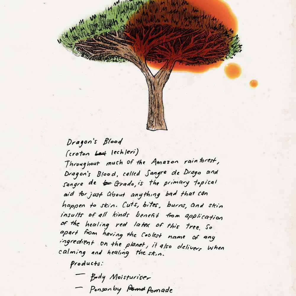 TRIUMPH & DISASTER Ponsonby Pomade – Medium Hold Hair Wax for Men and Women, High Shine, Non-Greasy Finish, 95g – Fine to Thick Hair