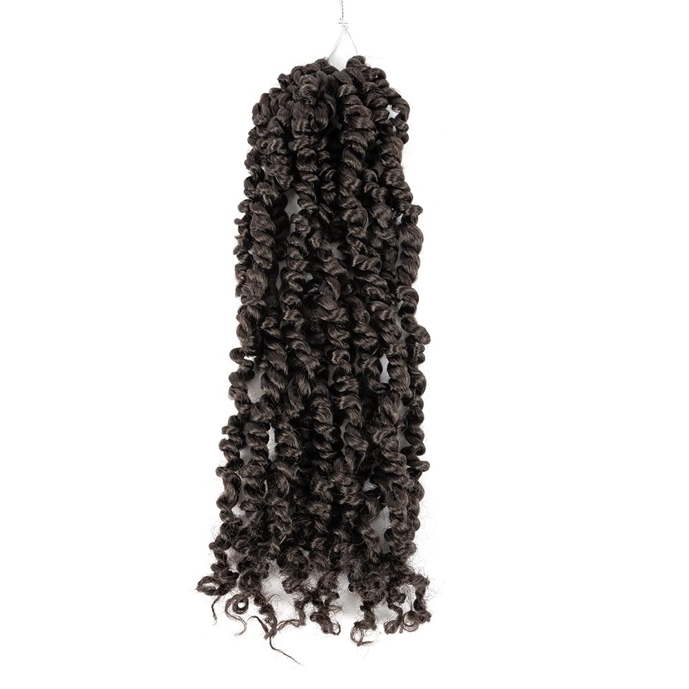 10 Inch Pre-twisted Passion Twist Crochet Hair 1 Packs Pre-looped Passion Twists Crochet Braids Synthetic Braiding Hair Extension (10 Inch (Pack of 1), 4#)