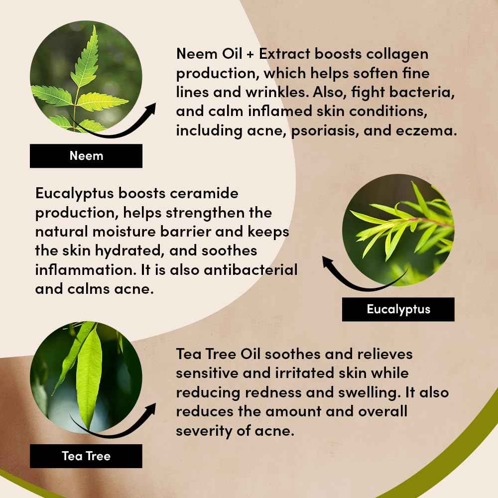 UrbanVeda Purifying Protecting Night Cream | 1.70 FL oz