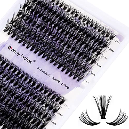 Wendy Lash Clusters DIY Kit - 240 PCS, 12-16mm Mixed, 30D+40D