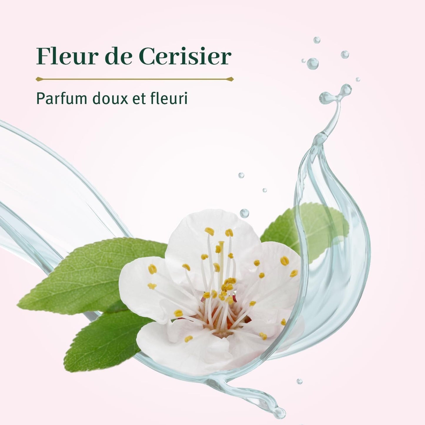 Le Petit Olivier Extra Mild Soap - Cherry Blossom - Gently Cleanses Skin - Delicately Perfumed - Vegetable Origin Based - 2 pc