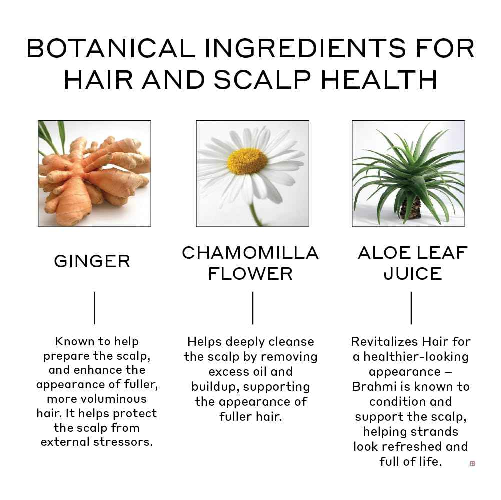 ZENAGEN Revolve Conditioner (Unisex) | Supports Scalp Health & Appearance of Fuller, Healthier Hair, Developed for Fine & Visibly Thinning Hair, Plant-Based, Color-Safe, Vegan, 200 mL / 6.75 oz