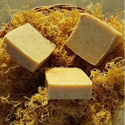 Iset By Nature Turmeric Sea Moss Soap Bar, 100% Natural, Handmade, Moisturizing Cleanser for Face, Body & Hair