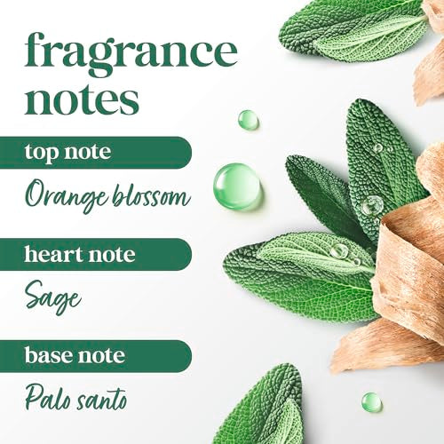 Dove Advanced Care Antiperspirant Dry Spray - Palo Santo & Sage, 3.8 oz | 72-Hour Odor Protection