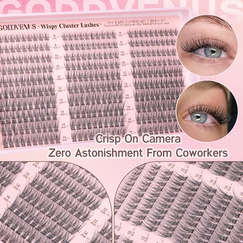 Goddvenus Wispy Lash Clusters - 9-14mm Natural DIY Extensions