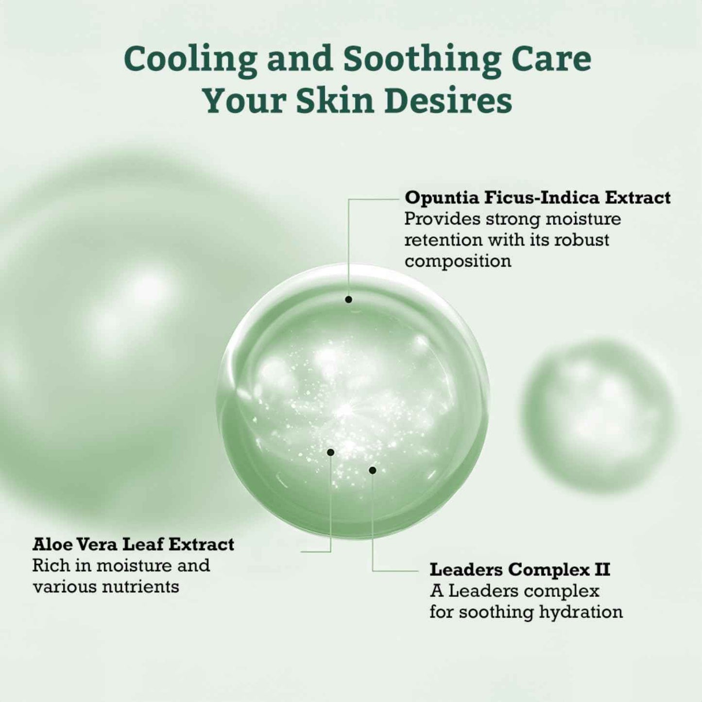 LEADERS Aloe Soothing Skin Renewal Mask – Calms Irritated Skin, Reduces Redness & Provides Deep Hydration – Gentle Formula for Sensitive Skin – Hydrating Face Mask with Aloe Vera – 10 Sheets
