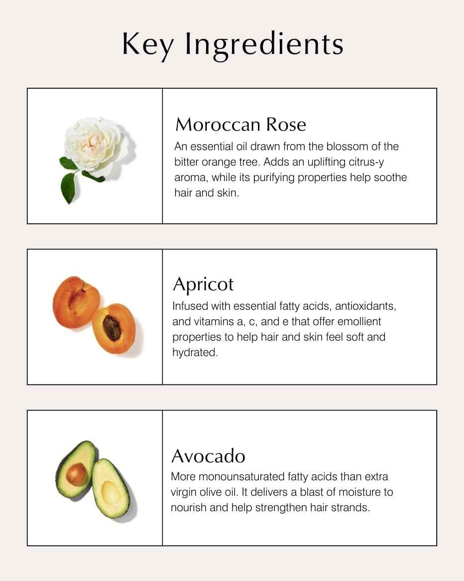 John Masters Organics – Nourishing Hair Mask | Rose and Apricot | Deep Conditioning Hair Mask | Scalp Treatment | Avocado | Silicone & Paraben Free | Cruelty Free| Haircare for Men & Women (5 oz.)