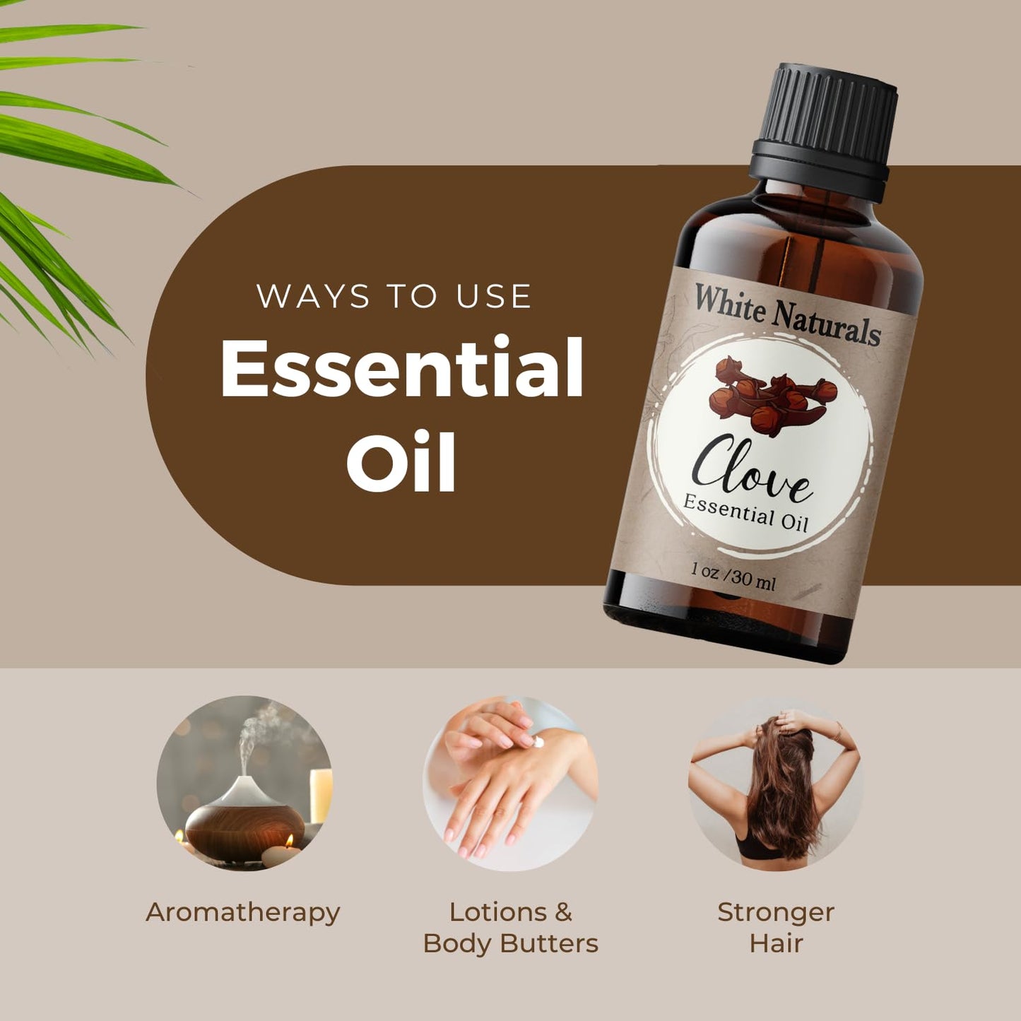 Organic Clove Essential Oil - 100% Pure & Natural, Therapeutic Grade, Undiluted, Premium Quality Aromatherapy Oil for Diffuser, Hair, Skin, Teeth, Gums & Oral Discomfort