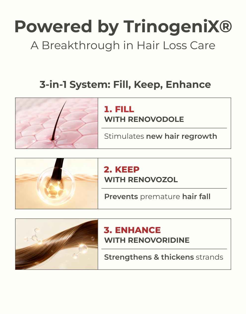 Motifull Hair Boosting Hair Thickening Shampoo for Thinning Hair with Biotin & Caffeine | Hair Growth Shampoo for Stronger Root & Volume (16.9 fl oz)
