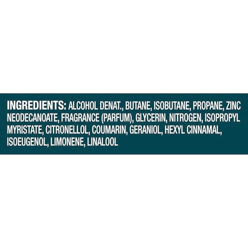 Degree Men Aluminum-Free Whole Body Deodorant Spray Cool Rush 2.9 oz