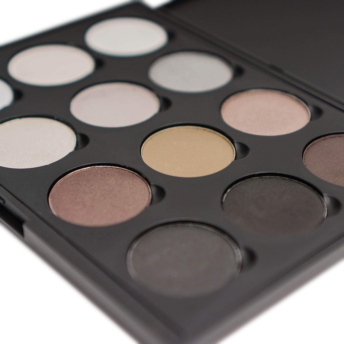 SHANY 12 Color Smoky Eye shadow Palette