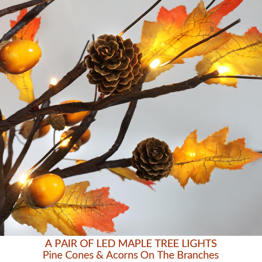 Bright Zeal 2-Pack 19.5" Tall Lighted Maple Tree LED Maple Tree Lights Indoor Battery Operated - Acorns and Pine Cones Decorations Thanksgiving Decorations for Home - Light Up Maple Tree Tabletop