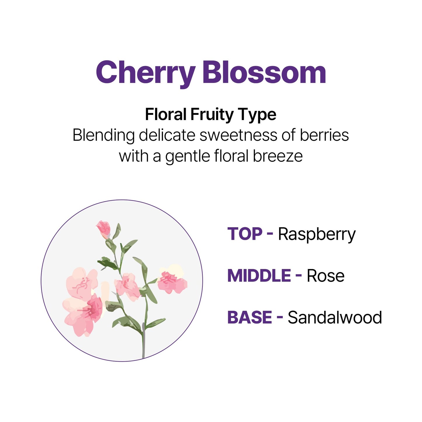 KUNDAL Honey & Macadamia Natural Conditioner Korean Hair Care Damage Repair, Deep Hydration, Long Lasting Fragrance, with Honey, Argan Oil, Macadamia Oil 16.9fl oz (Pack of 2) (Cherry Blossom)