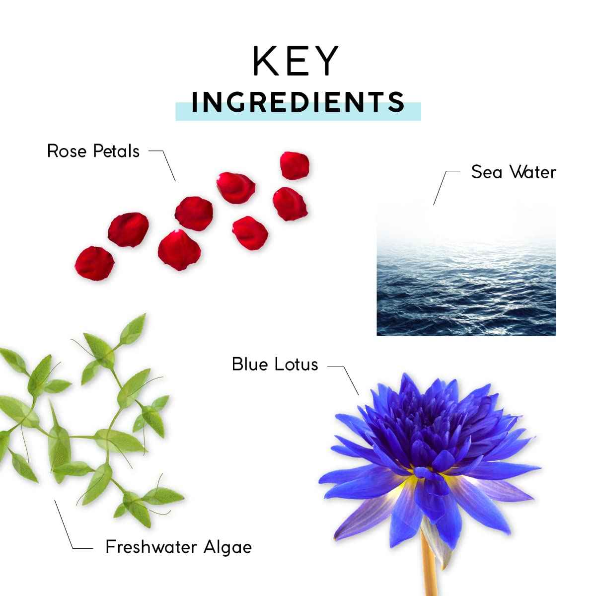 MyChelle Dermaceuticals Ultra Hyaluronic Hydrating Cream (1.0 Fl Oz) - Rich Hydration for Dry Skin with Vegan Hyaluronic Acid, Help Plump Skin and Help Reduce Appearance of Fine Lines and Wrinkles