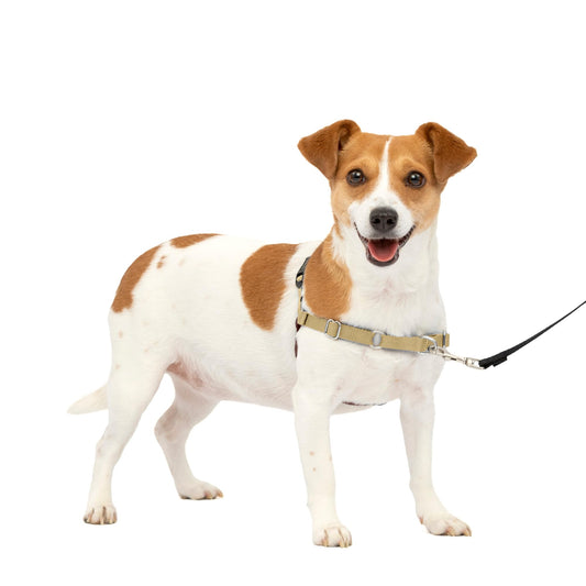 PetSafe Easy Walk No-Pull Dog Harness - The Ultimate Harness to Help Stop Pulling - Take Control & Teach Better Leash Manners - Helps Prevent Pets Pulling on Walks, Small, Fawn/Brown