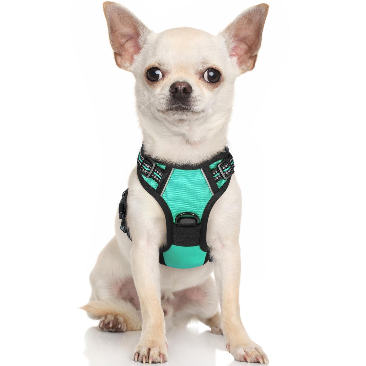 rabbitgoo Dog Harness, No-Pull Pet Harness with 2 Leash Clips, Adjustable Soft Padded Dog Vest, Reflective No-Choke Pet Oxford Vest with Easy Control Handle for Small Dogs, Turquoise, XS