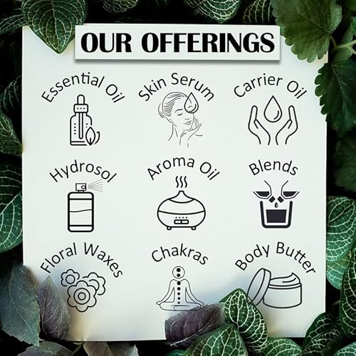 d?ve herbes Sweet Wormwood Essential Oil (Artemisia annua) Pure | Non-Sticky | Non-Greasy | Lightweight | Men & Women | All Skin Types | Steam Distilled 100ml (3.38 oz)