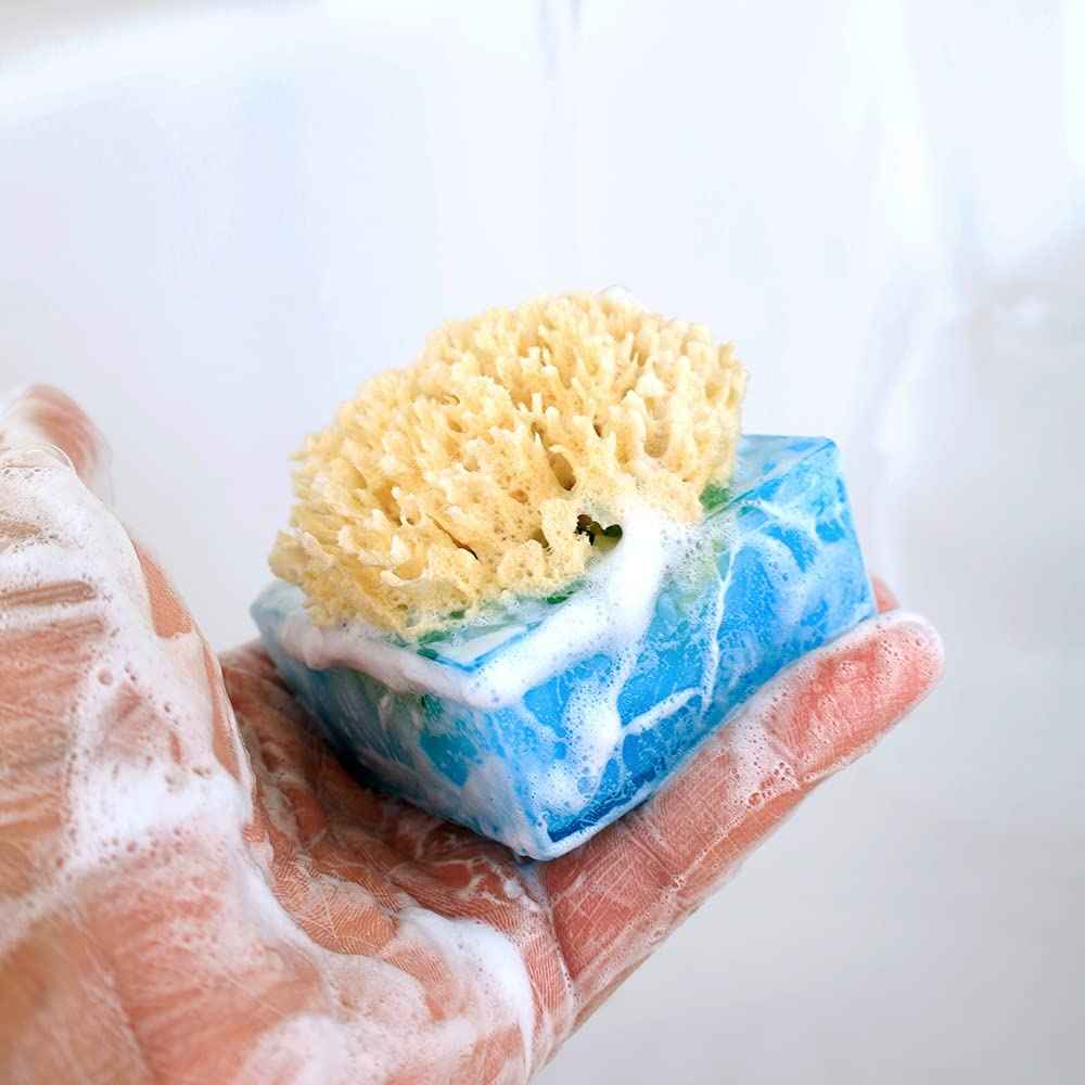 Primal Elements Facets of the Sea SpongeBar Soap (Pack of 2)