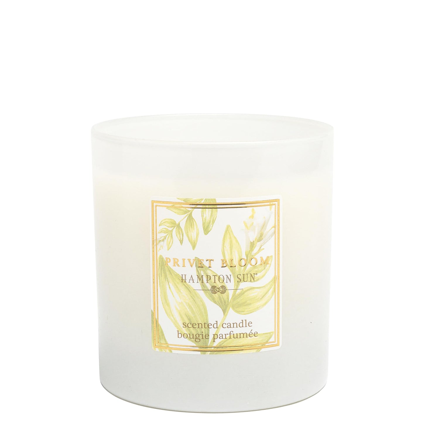 Hampton Sun Privet Bloom Candle, 20 Fl Oz