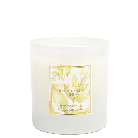 Hampton Sun Privet Bloom Candle, 20 Fl Oz