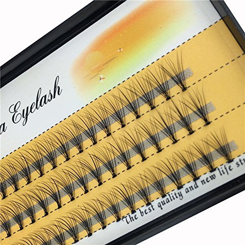 10D Individual Cluster False Eyelashes 6mm-16mm Black