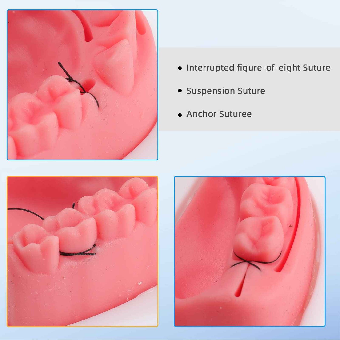 faruijie Dental Practice Kit - 25 Pcs Set Oral Practice Kit Include 4 Soft Silicone Oral Pad Training Kit for Dentist Assistant Training & Student Practice